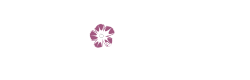 Logotipo The Original Resinator